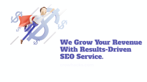 Crow Hacks Digital Marketing Services