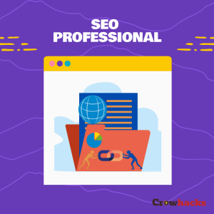 Crow Hacks SEO Company